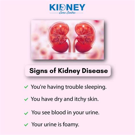 kidney disease and nephrology near san ramon|Best Nephrologists Near Me in San Ramon, CA .